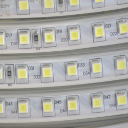 Уличная светодиодная лента 220В 6000К 100м truEnergy 20001