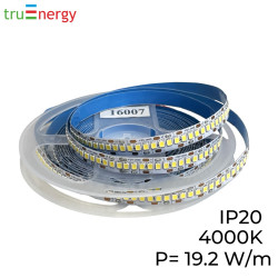 Светодиодная лента 12V 4000К 19.2 W/м truEnergy 16007